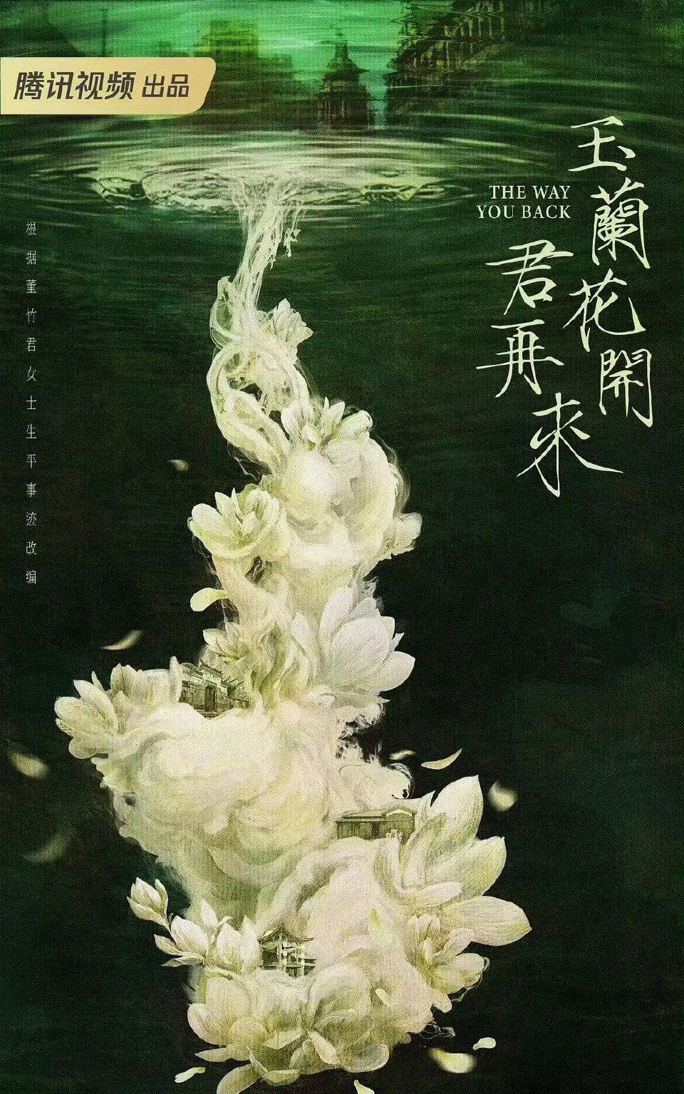 杨紫这咖位是要一路飞升啊！腾讯年代剧《玉兰花开君再来》确定由她担任大女主