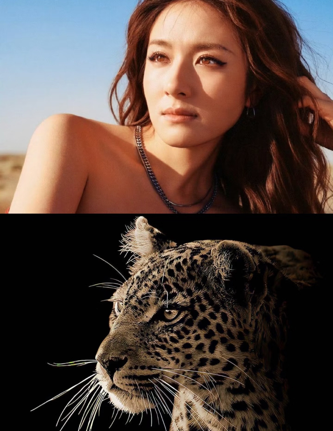 李兰迪豹系美人第一个把李兰迪豹塑的简直是甜菜此女可塑性好强啊！！！五官