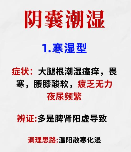 下焦湿热3大证型，中医辨证调理不踩坑