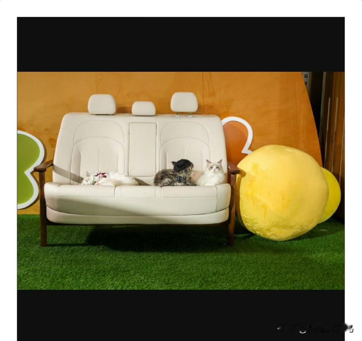 东风日产N6不仅重新定义舒适标杆，还豪气地将百万级后排大沙发打包成媒体礼，一口气