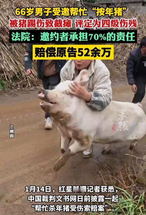 四川合江，一66岁男子帮70岁邻居杀年猪，结果被猪踢了一脚，致4级截瘫。事后，男