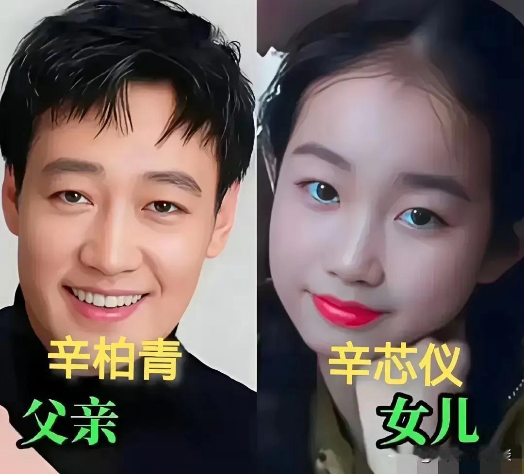 辛柏青父女俩。杨烁父女俩。夏雨父女俩。王阳父女俩。贾乃亮父女俩。吴尊父