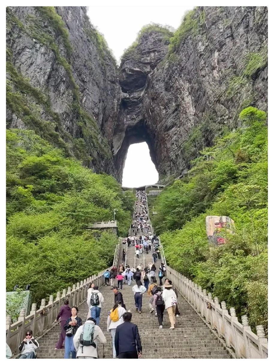 奉劝大家，千万不要带任何人旅游，我上个月带了我姐一家，肠子都悔青了。原本以为