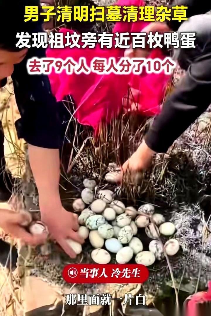 “祖坟边，近百枚鸭蛋！九个人，一人不多不少，刚好十个！”冷先生手一抖，锄头差点