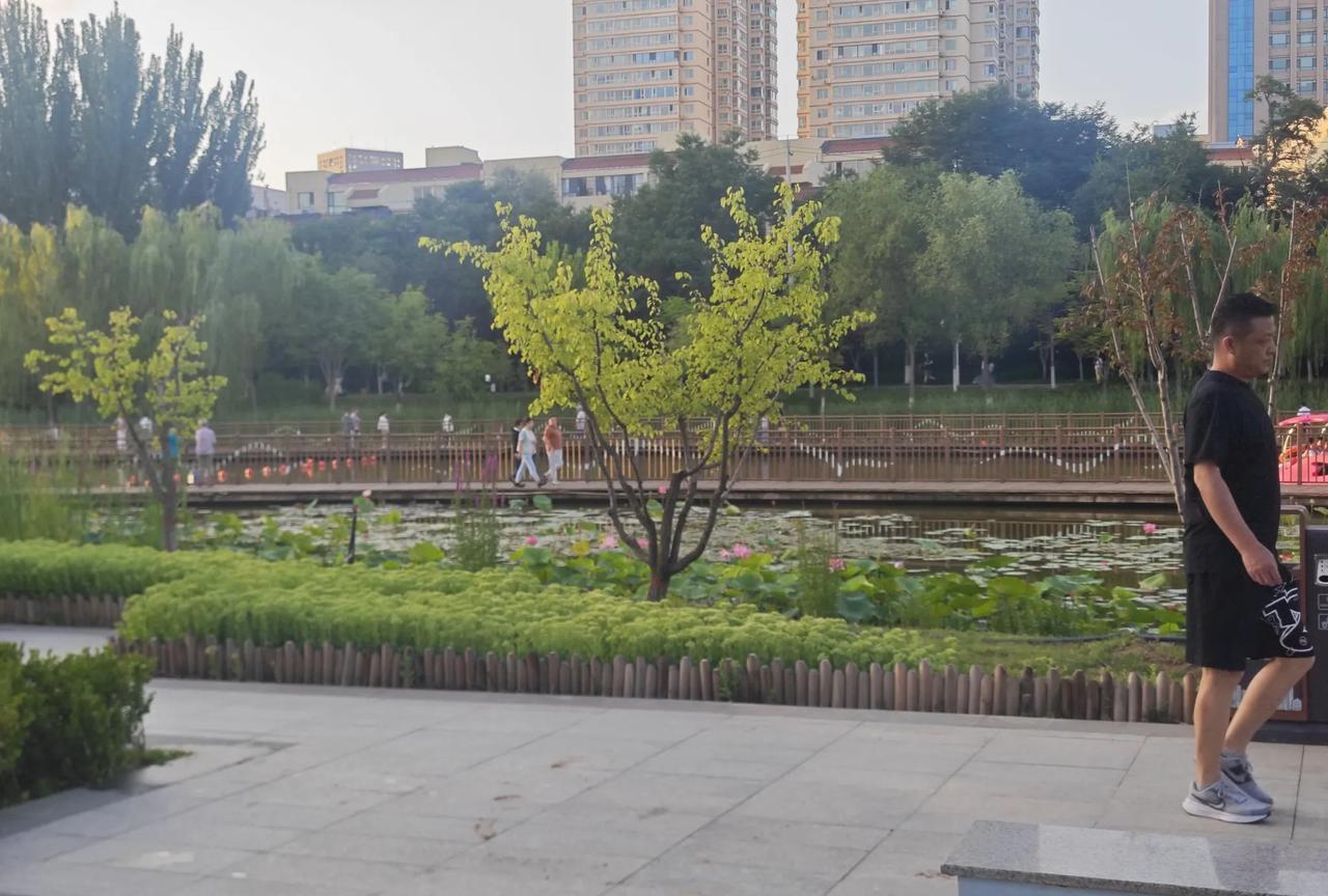 雁滩公园管理保洁的有人能看到吗？7月8日19点40分左右，本人路过南湖水榭，走
