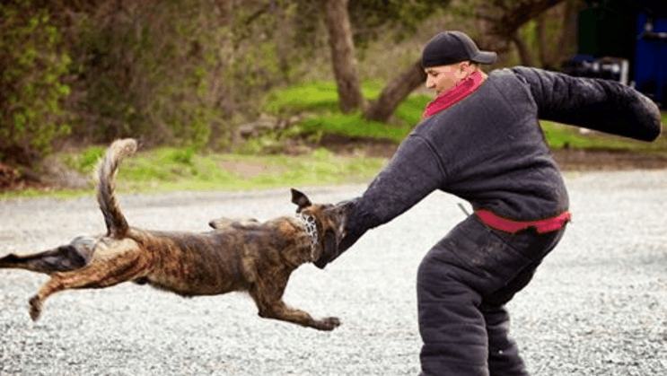 9481022740480238172.jpg?id=0