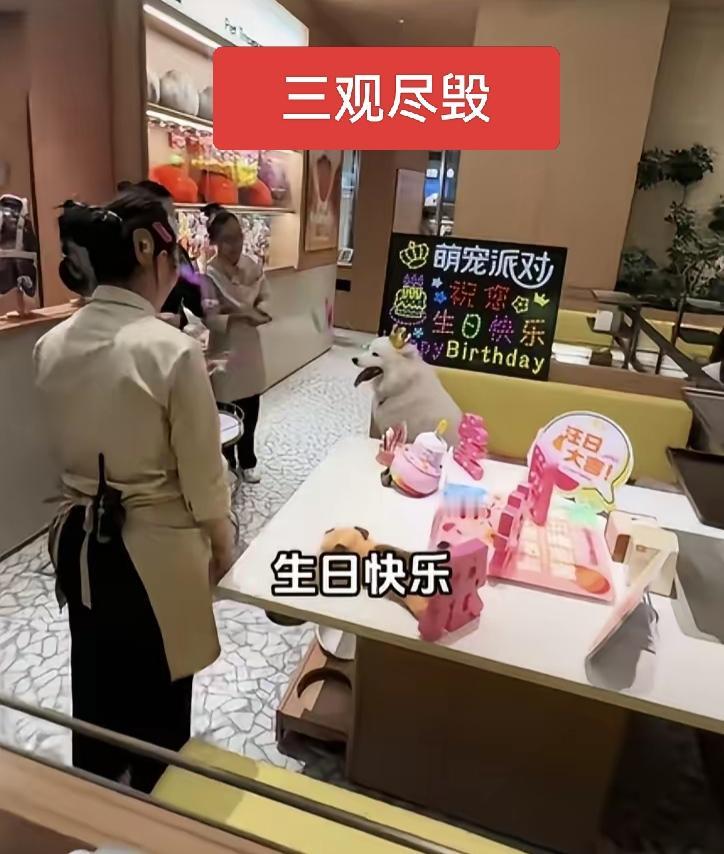 海底捞这家店离关门不远了，居然给狗庆生！底线在哪里？道德在哪里？公序良俗在哪里？
