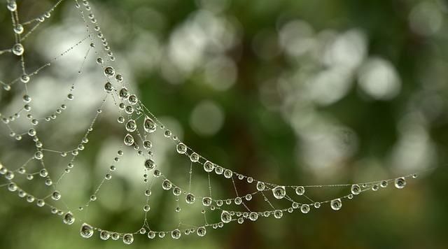 怎样拍出将水珠拍得晶莹剔透呢？六个小技巧告诉你拍摄地点最好是在室外哦1，使用