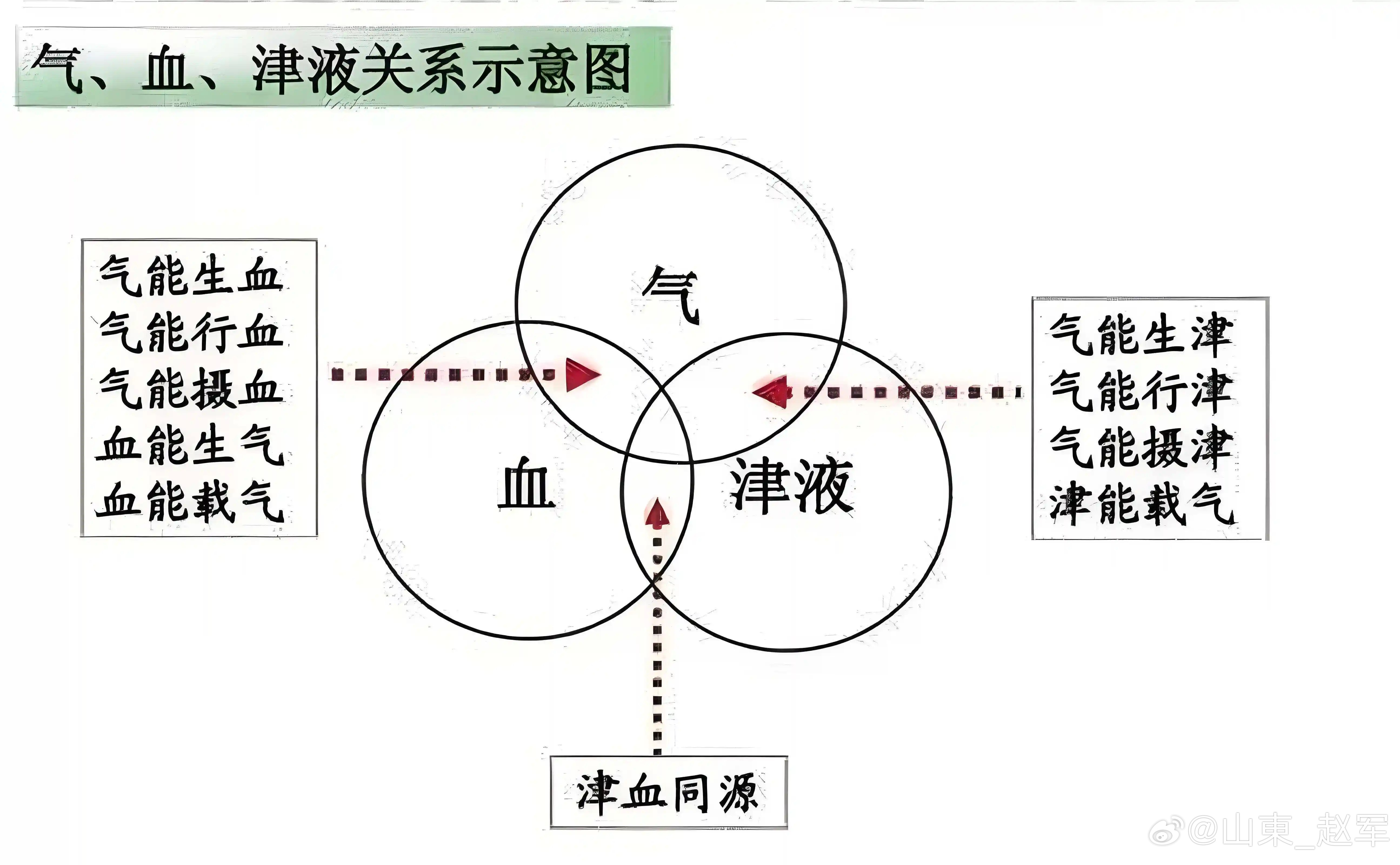 气虚到极致，反其道而行！不“补”反“收”，立见奇效！很多人气虚了就想着用人参、黄
