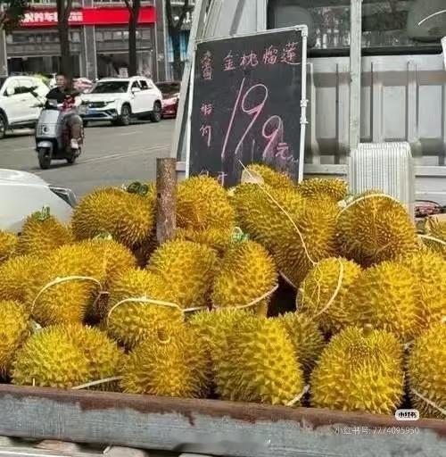 为什么榴莲降价反而吐槽多了前两年榴莲贵到离谱，泰国越南的果农一看，种榴莲比印钞还