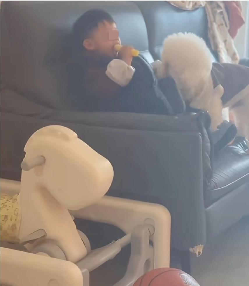 宝妈发视频记录宝宝和宠物🐶和谐相处的瞬间:狗子一口宝宝一口、宝宝一口狗子一口！