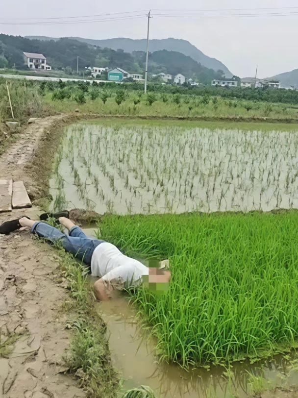 “并非谁死谁有理！”一七旬大爷早起锻炼时，路过一片稻田，当他来到稻田边蹲下洗手时