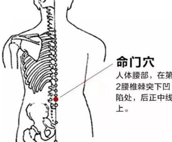 命门穴：太极拳里藏着的人体“能量开关”，90%的人练拳都忽略了它！