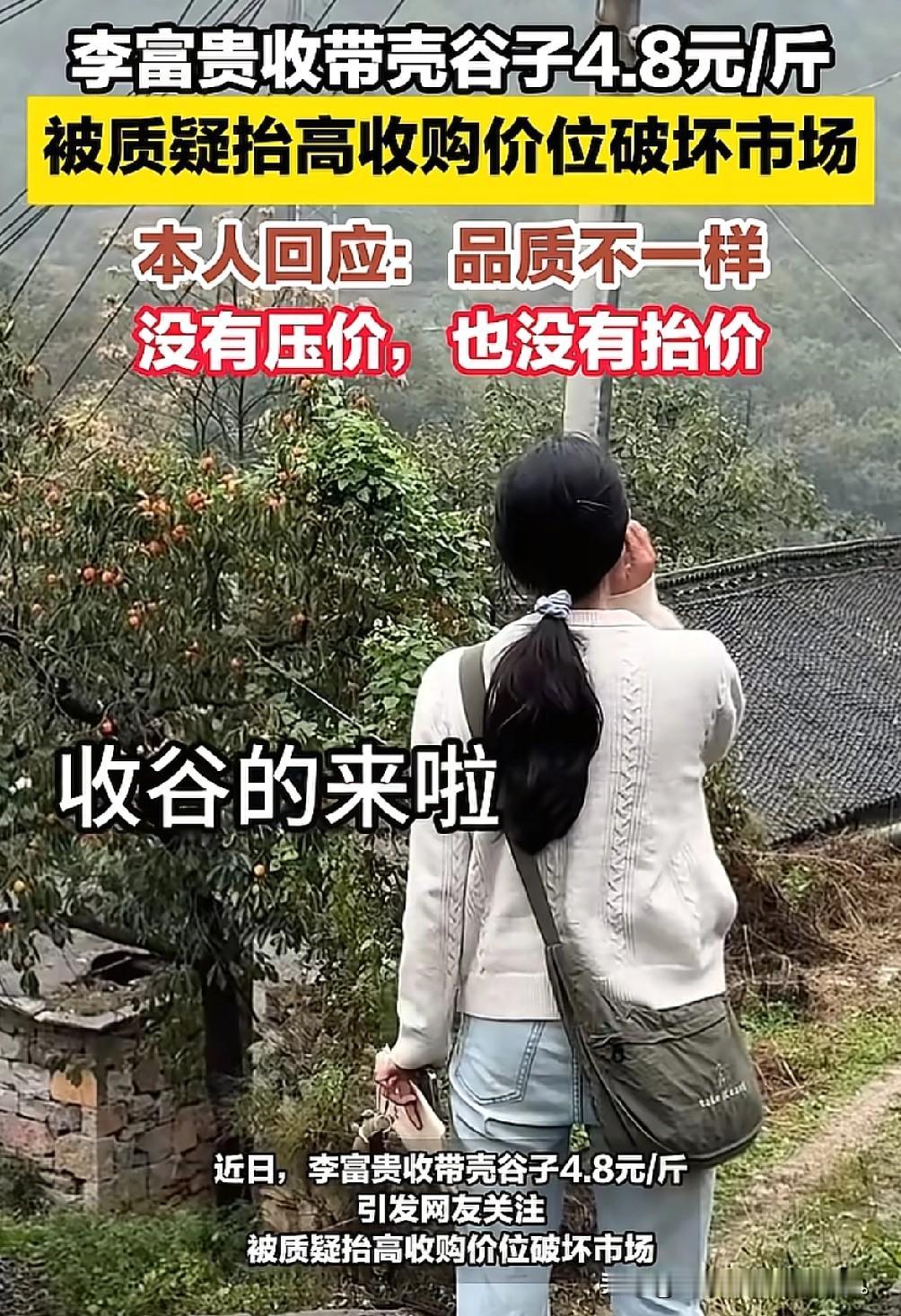 好人难做李富贵去山里收购谷子因价格问题，被质疑故意抬高价格破坏市场环境。10