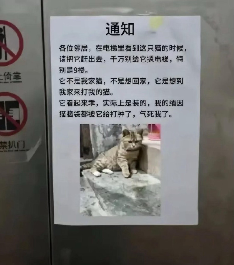 千里寻仇可真笑死我了​​​