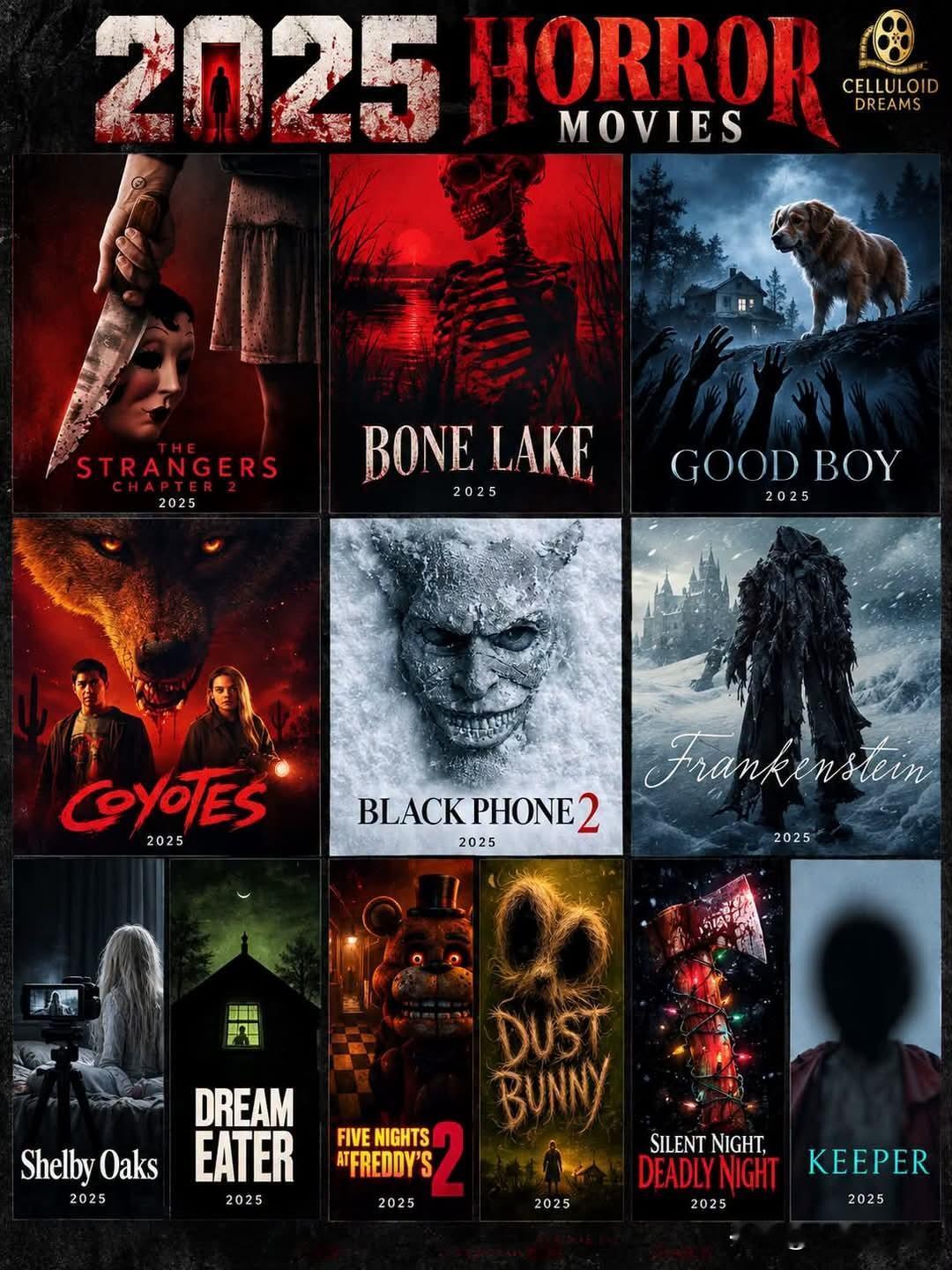🩸🎃2025恐怖电影—12部在2025年带来全新梦魇的影片🎞️👻?