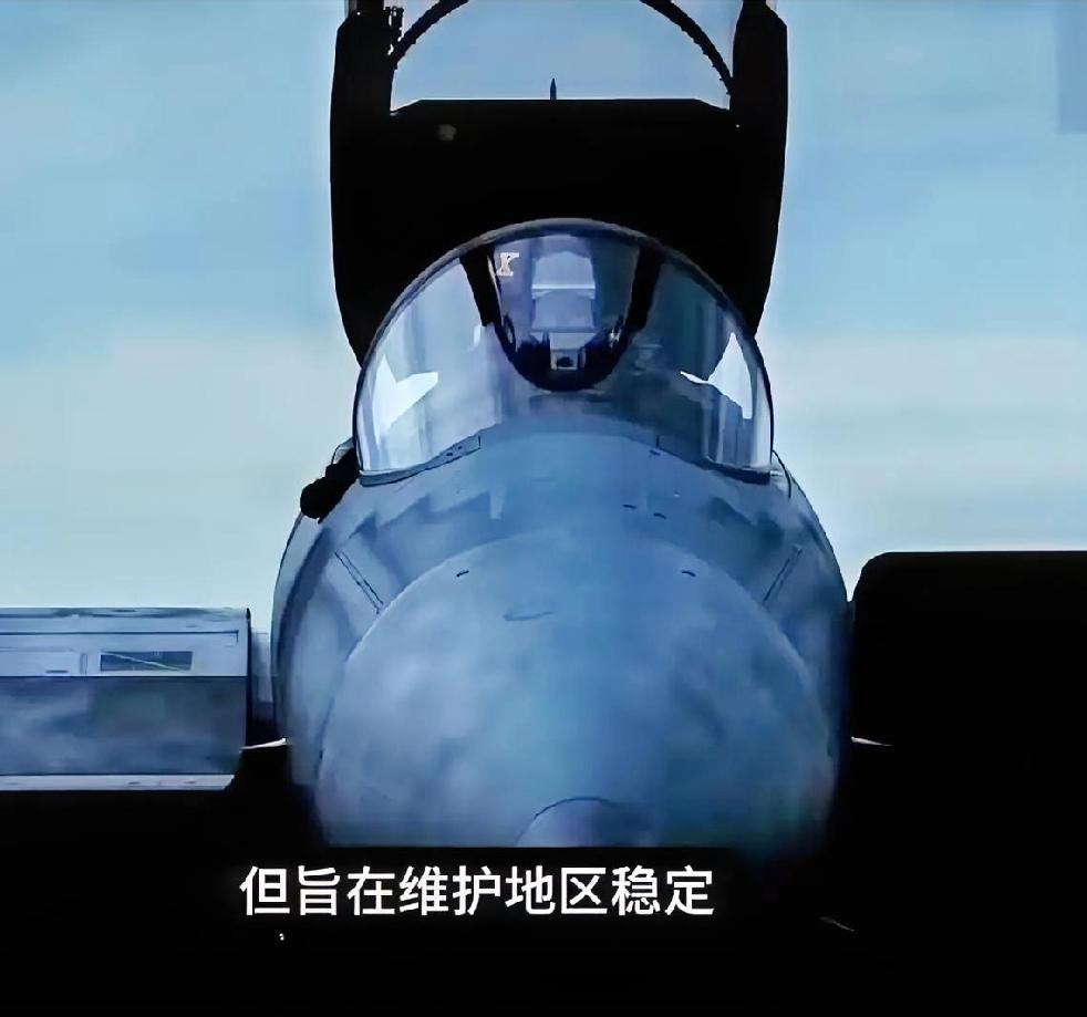 日本可不是台湾，台湾那些人可以说是被民进党蒙蔽了双眼，看不到中国大陆的真实军