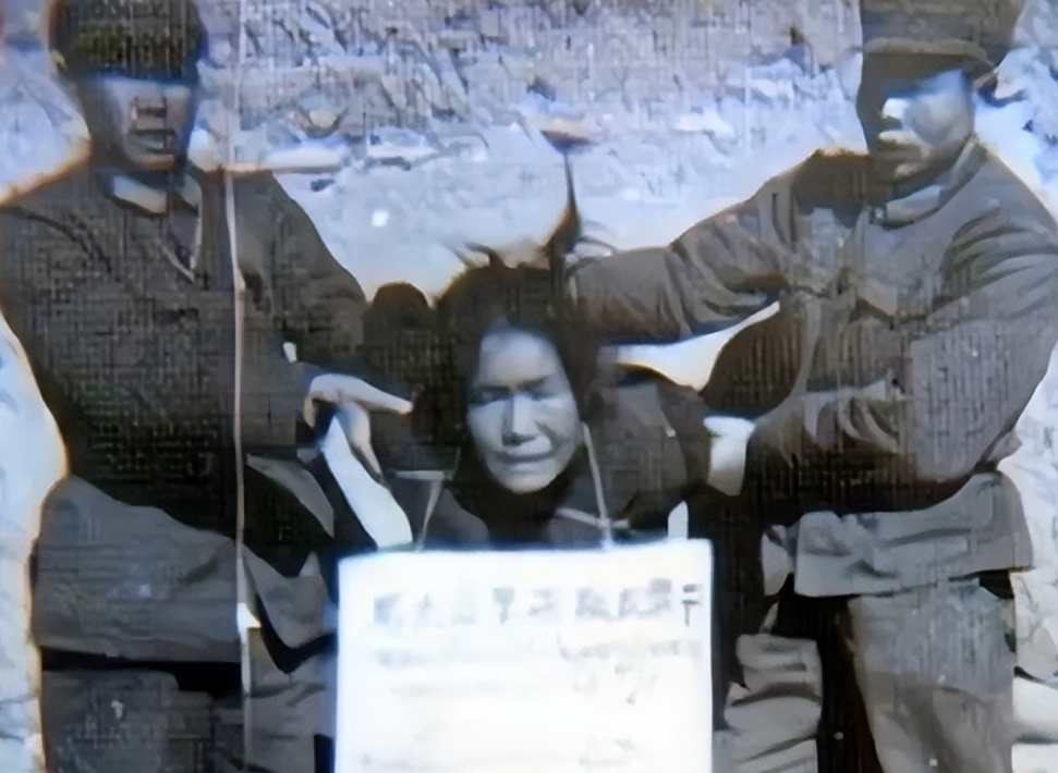 1950年，“双枪老太婆”赵洪文国被抓获后，周恩来想让其戴罪立功，而毛主席却一口