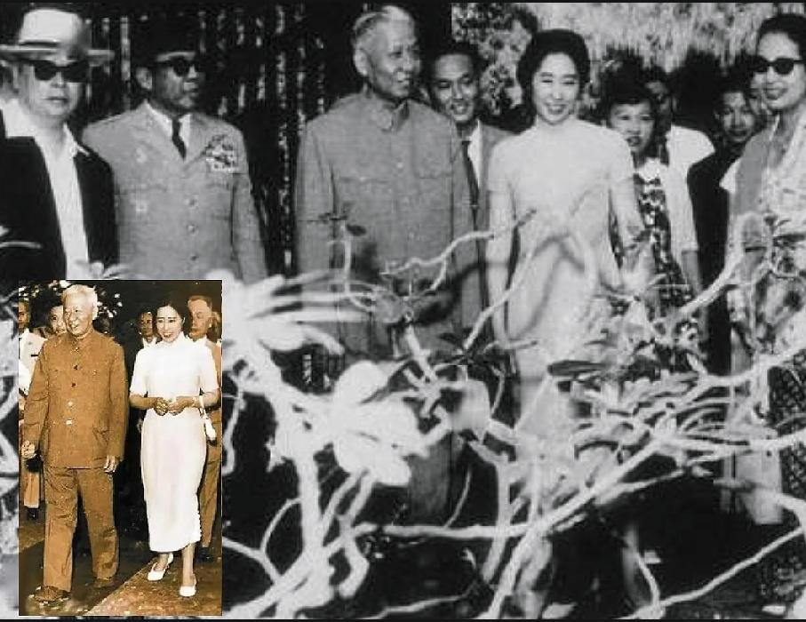 🔻1963年刘少奇和夫人王光美出访东南亚。这次出访算得上咱们新中国头一回正经的