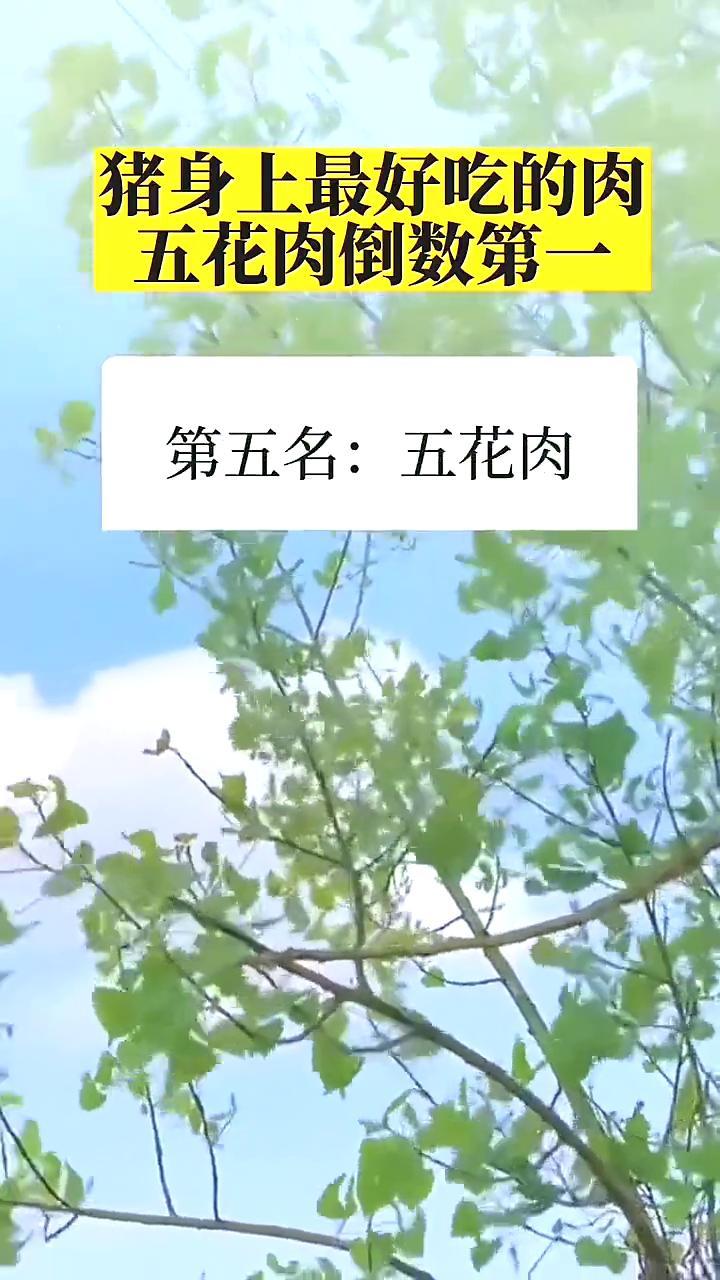 猪身上最好吃的肉，五花肉倒数第一说实话，以前我买猪肉，只认准五花肉！每次