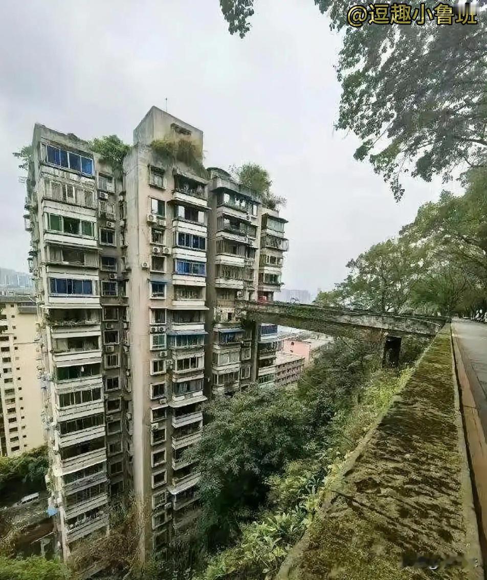 我直接看懵了！重庆这些房子修得也太有个性了