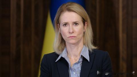 卡拉斯表示，俄罗斯在谈判桌上获得的收益，超过战场上取得的成果卡拉斯指出，