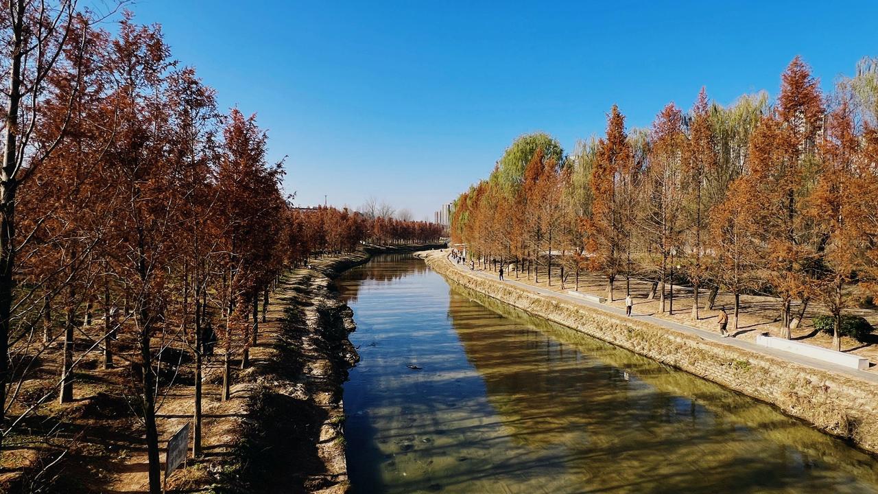 冬日暖阳寒夜里风声飒，孤寂被放大黑暗中思念发芽，回忆在挣扎看那秃枝挂冰碴