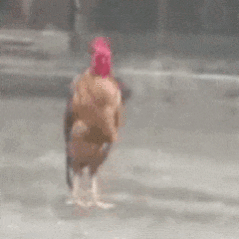 吓晕了！24～周末播放量都这么扑我呃呃三月三扑真的厉害了👏！这走势集均