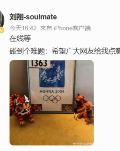 刘翔求助全网砸锅体制内的饭碗怕是端不住了，要么买断工龄，过着他喜欢的生活，买
