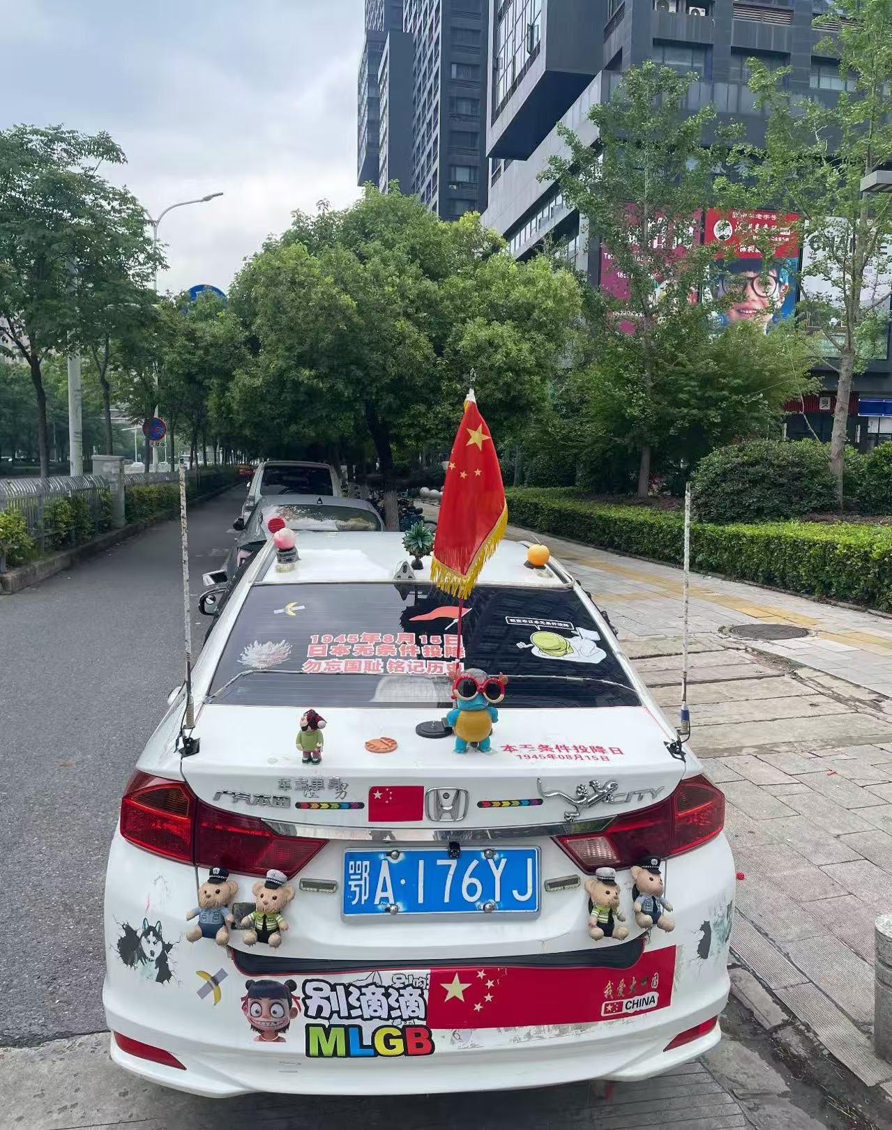 这位兄弟是爱国第一人吧
