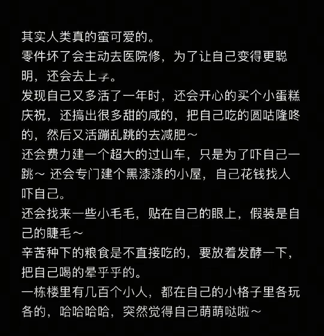 其实人类真的蛮可爱的