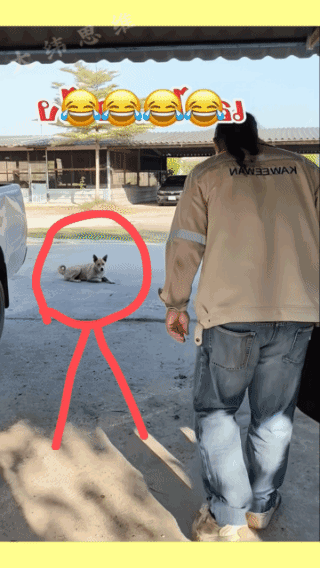 有本事你过来，不咬你两口我就不是狗！