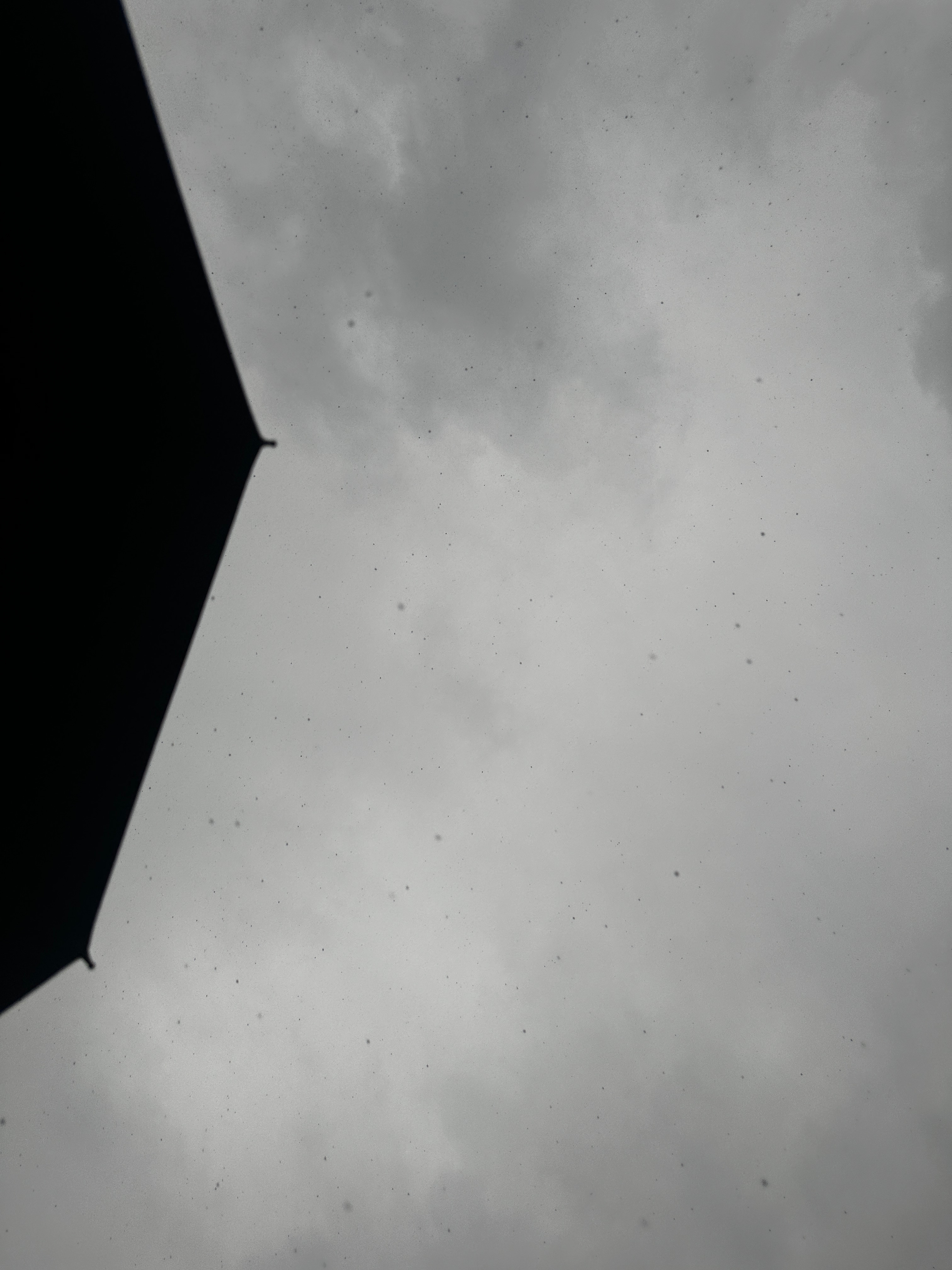 我为什么还要冒着雪上早八