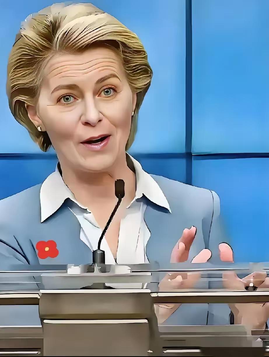 11月19日，欧盟普通法院一纸判决尘埃落定，直接驳回了亚马逊要求撤销其“超大型平