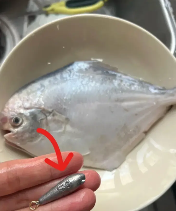 江苏，一名女子在菜市场买了一条鲳鱼，回到家后，她解剖这条鱼的时候，意外地在鱼肚子