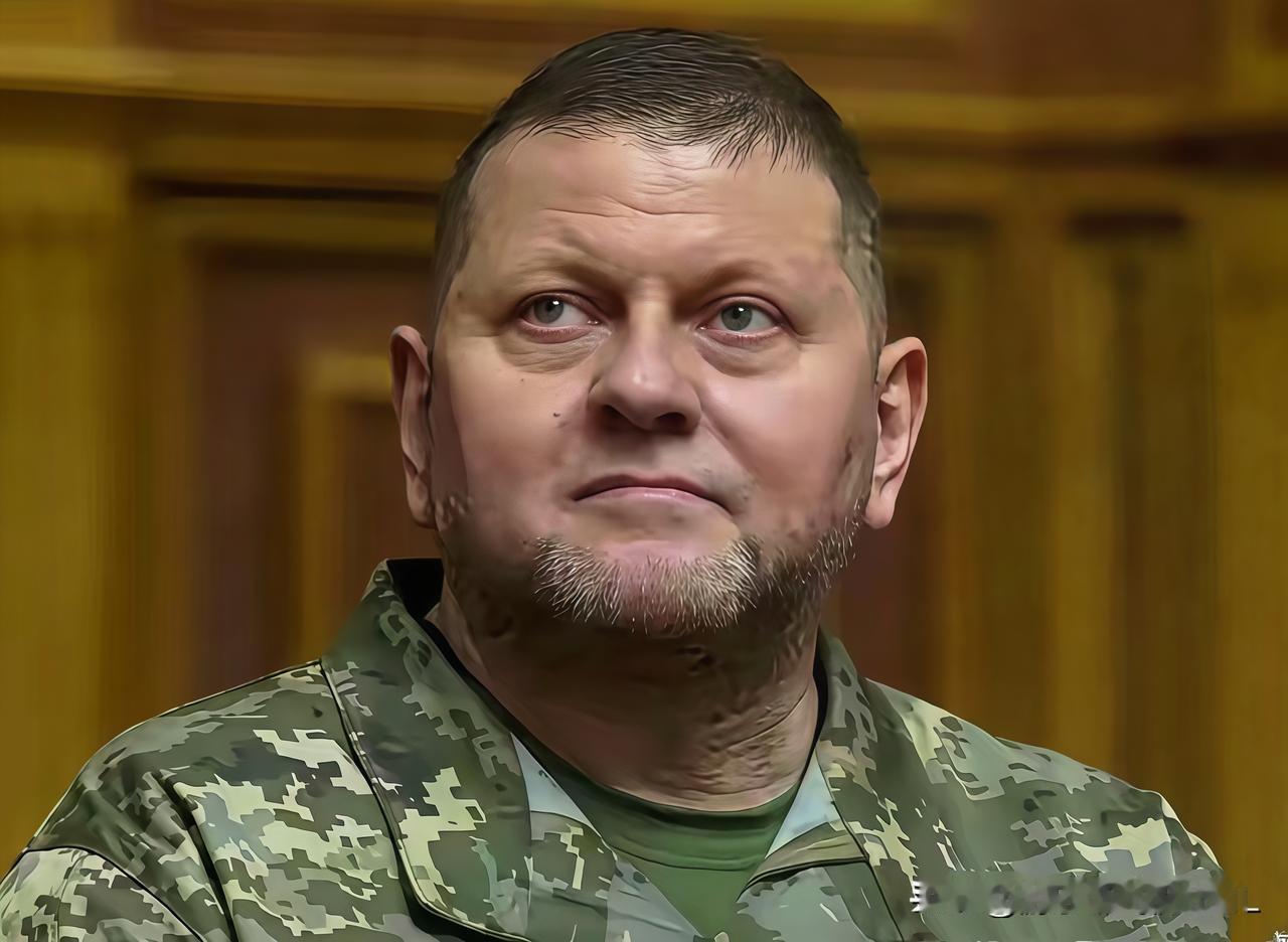 扎卢日内说了句大实话，听得人脊背发凉。仗打完了，乌克兰的苦日子可能才刚开始。