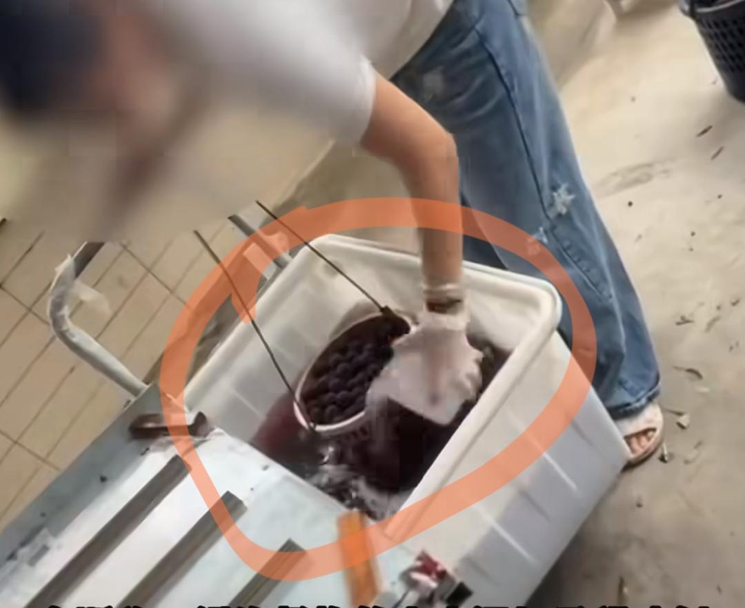 漳州杨梅黑幕彻底曝光！梅农坦言：别人泡药卖高价，我真的眼红每年5月，正是杨