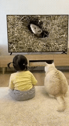 笑不活了！猫咪看视频猛扑大老鼠，一爪子干碎电视屏！小主人当场石化…谁能想到