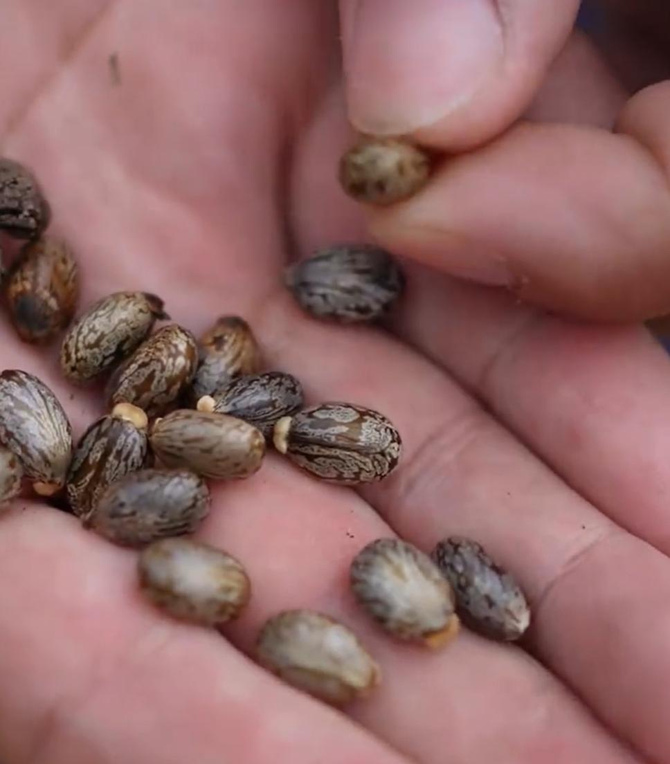 近日，浙江省绍兴市的一位23岁女子小金为了解决困扰已久的便秘问题，轻信了网上刷到