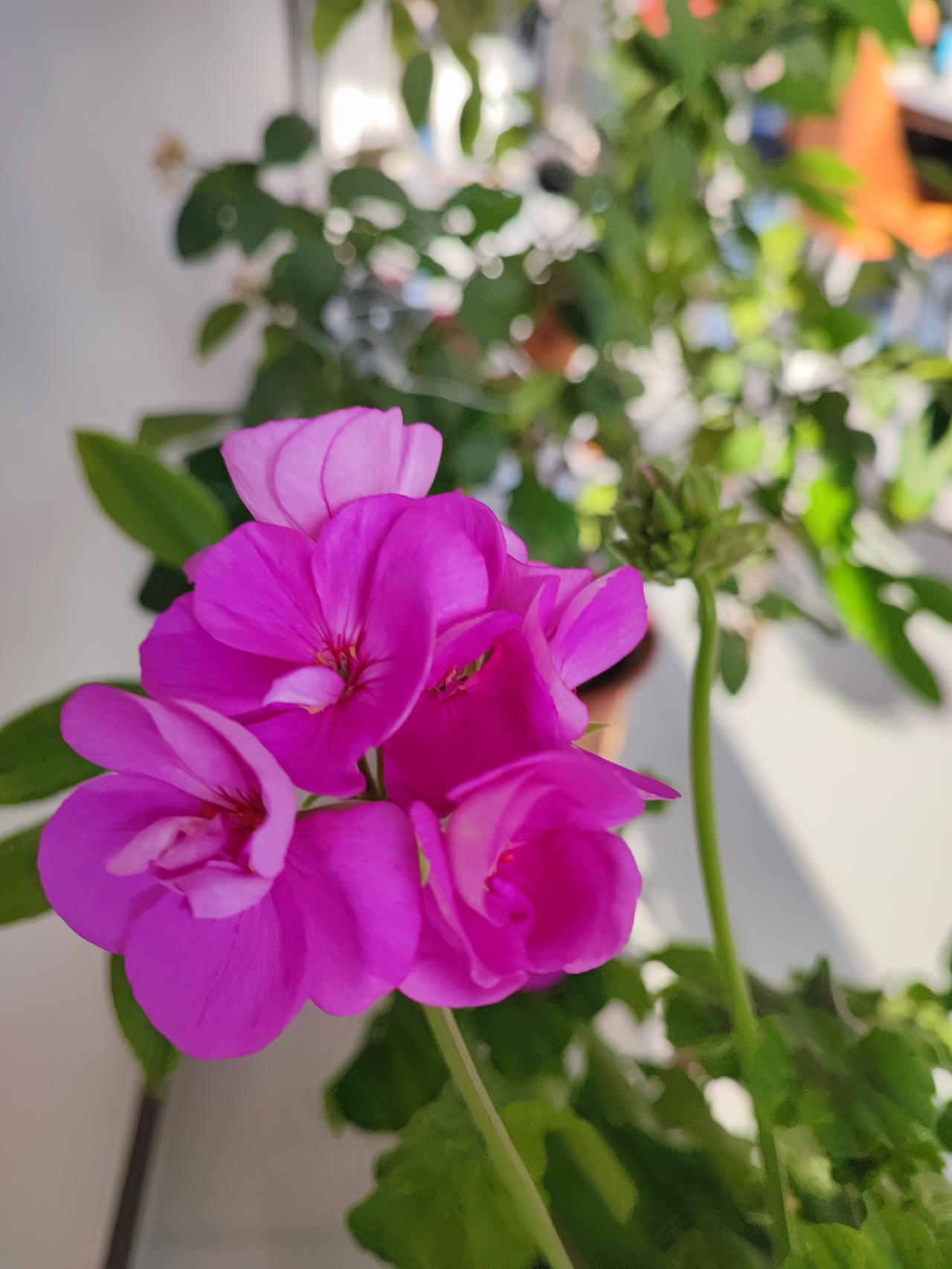 烧钱的爱好居然成就了英语28分的姑娘！俺姑娘毕业就去北漂了，工作接近十年，