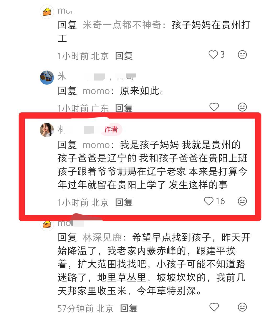辽宁朝阳4岁失踪女童妈妈发声了！不敢想象这个妈妈得有多崩溃，现在还在赶往回辽