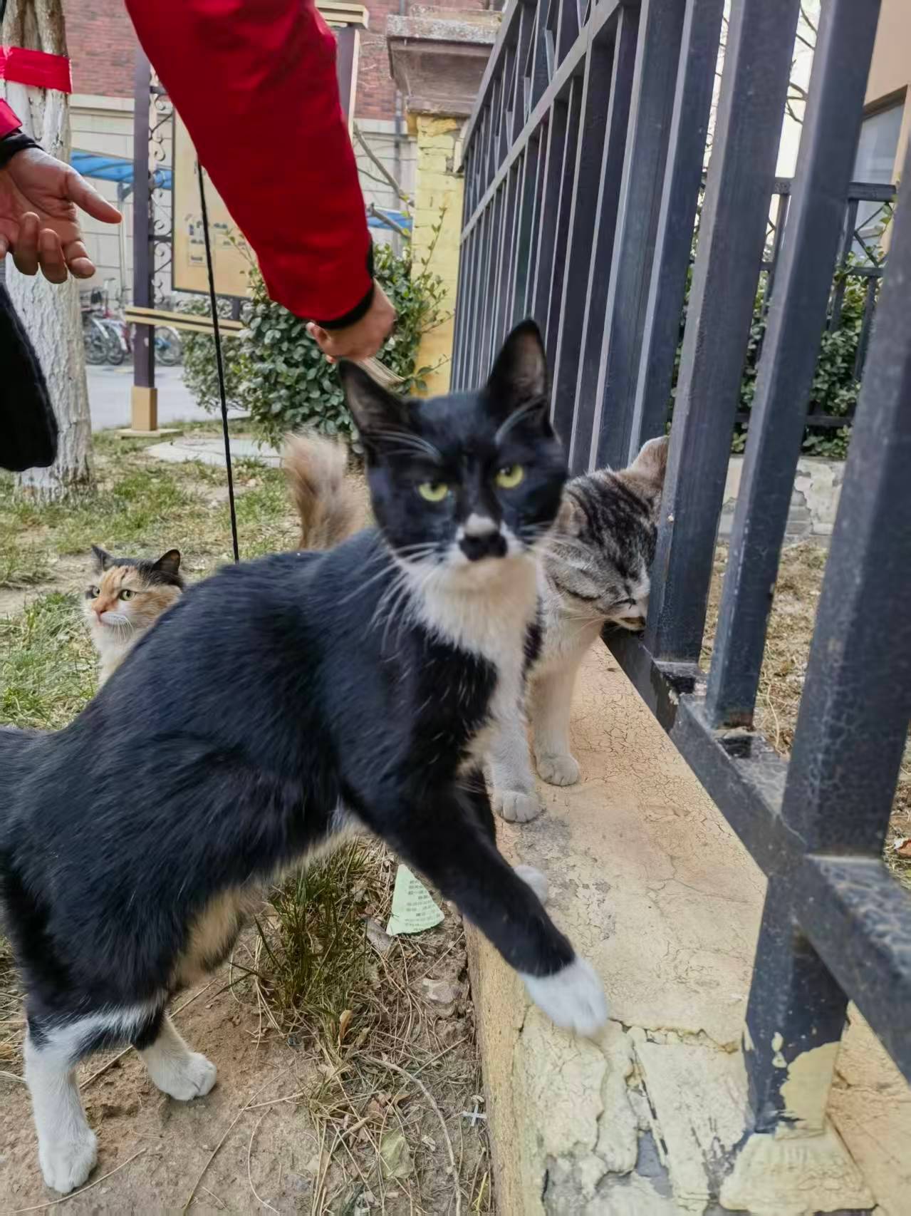 *碎碎念*活鱼炖豆腐。豆腐不成型，把鱼也给整烂了。总之，有点淡，鲜味还好...大