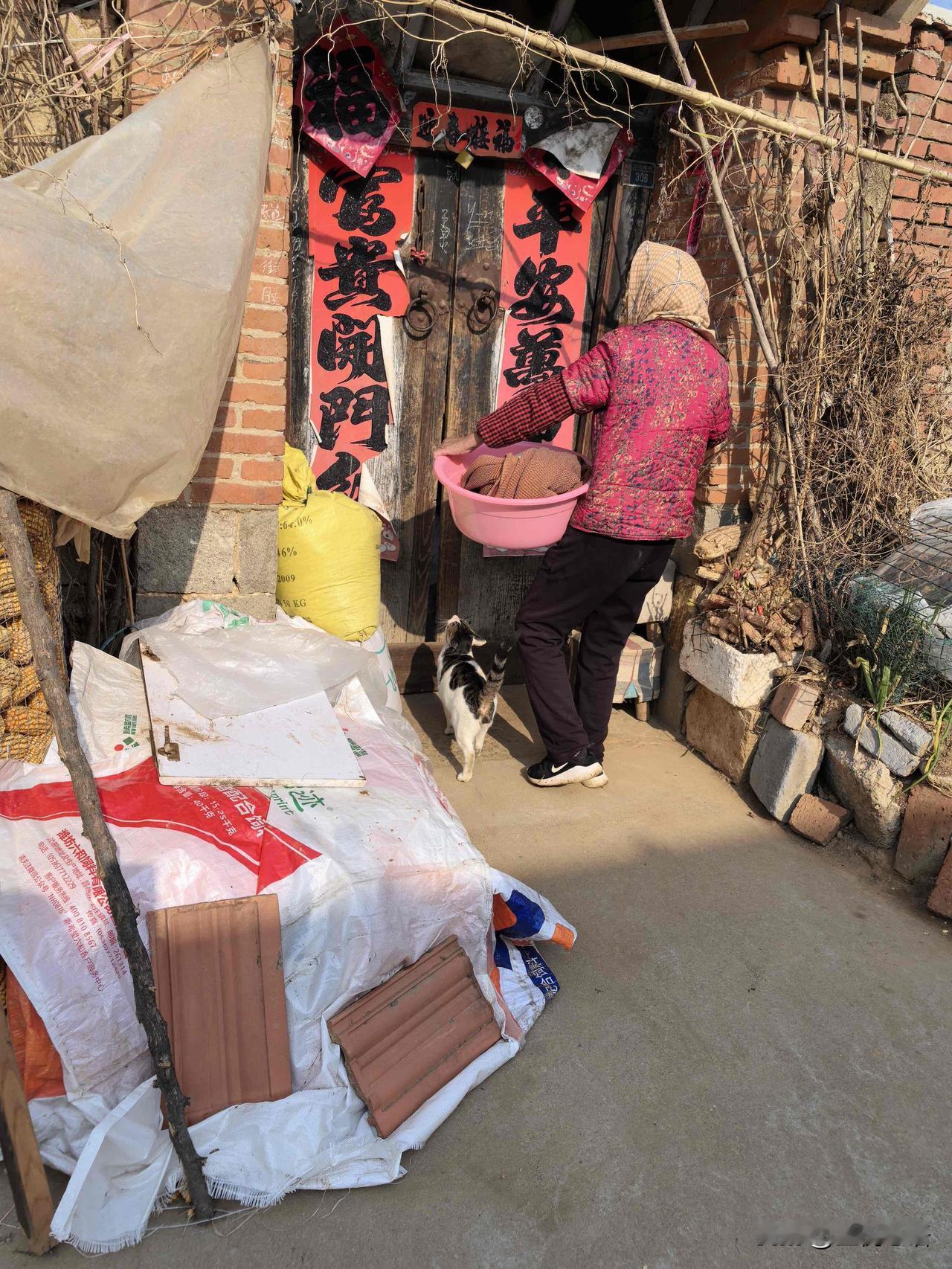 原来猫界也懂“懂事比好看更吃香”我算发现了，不管是人还是猫，招人疼从来不是靠