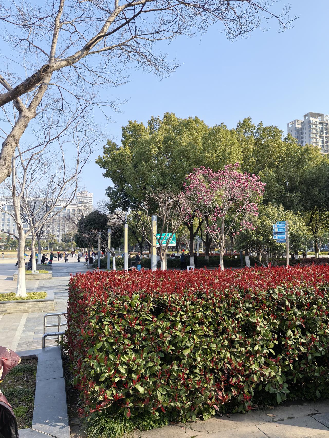 记录我的20262026年在武汉街头公园溜达，能感受到这座城市的变化。武汉内环