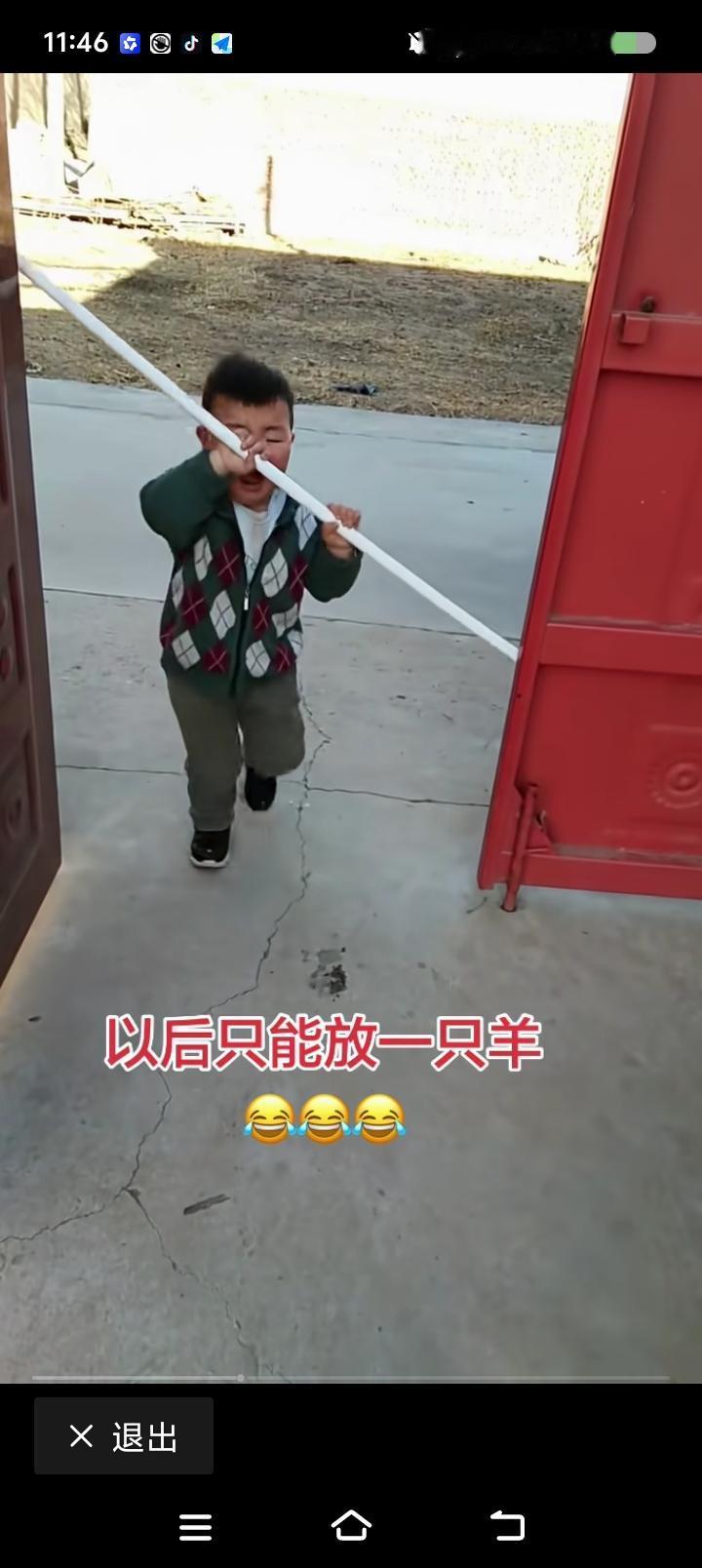 成语故事都是真的——网上视频：一小孩拿长竿进不了门，左右上下比划，急哭了。