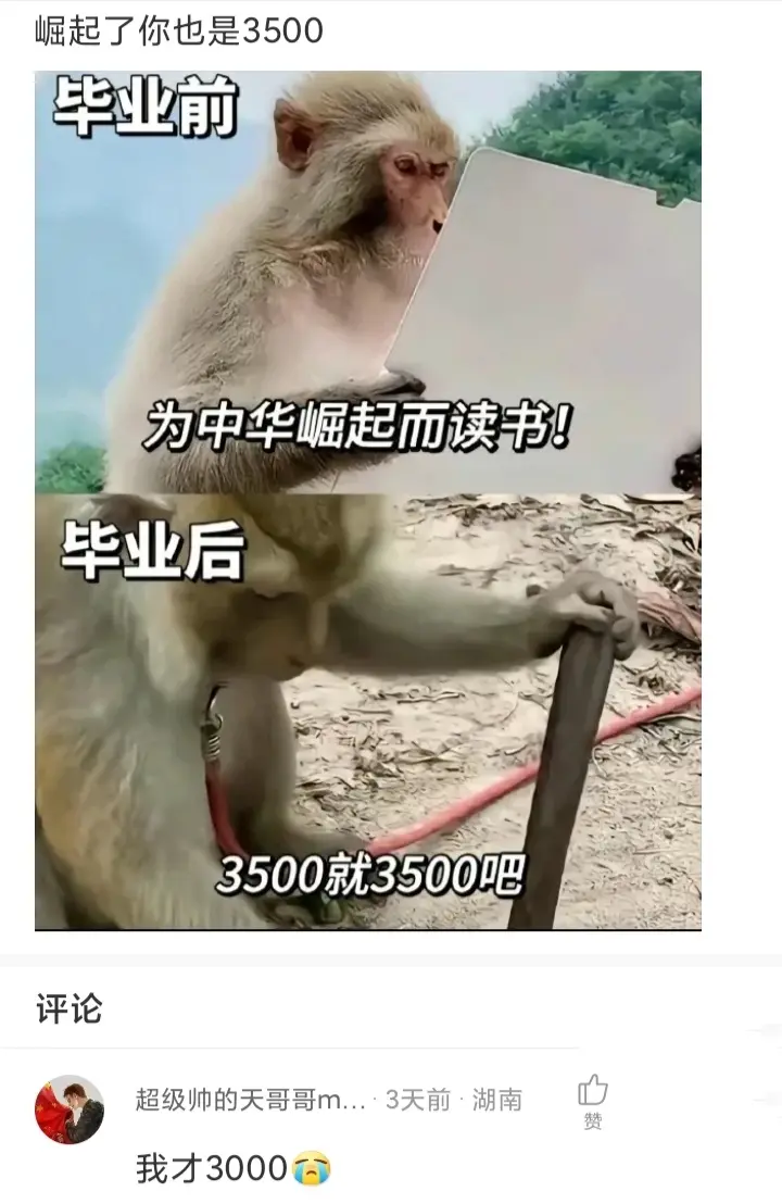 崛起了，你不也是3500？？