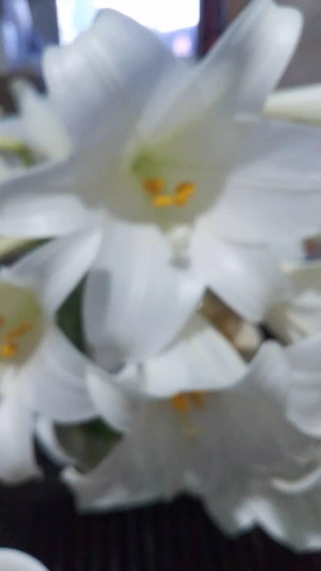 哈哈，哈哈，对。