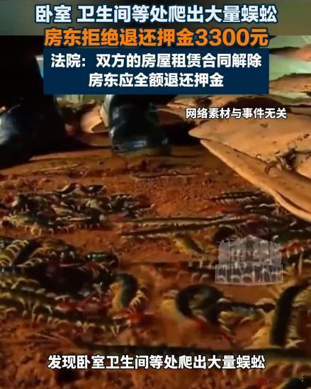 上海青浦，小江刚签了租房合同，就发现房间各处涌现出大量蜈蚣！床底还有几条蜈蚣尸体