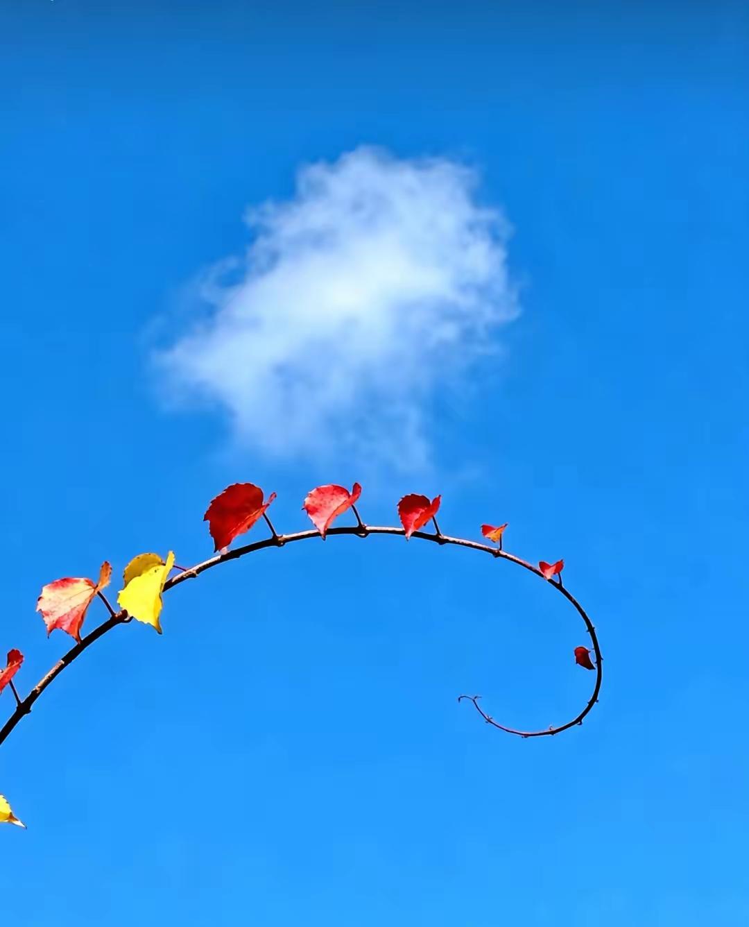 最狠的疏远，是沉默。你发消息，我看了，不回。不是忘了，也不是忙，是——不想