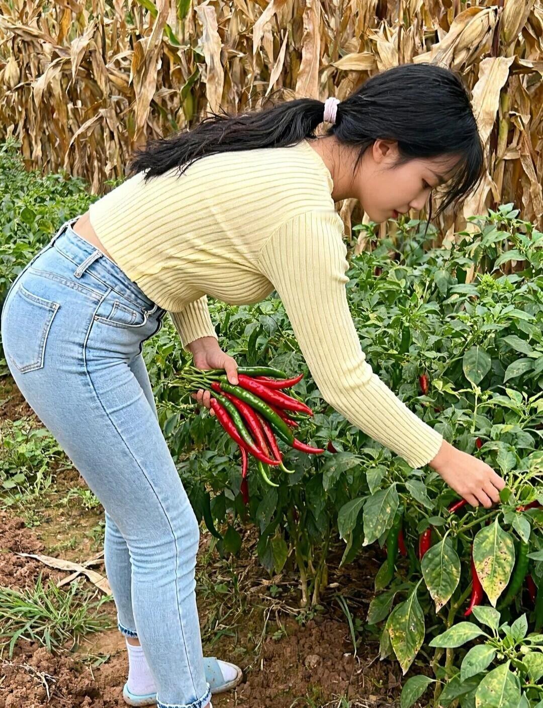 幸福的农村生活